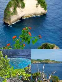印尼/佩尼達島/奇特的海岸風景線，迷人的潛水勝地！