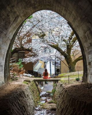 Hiroshima highlights