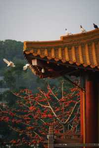 春和景明不僅是禪意遇見寧靜角落 廈門石室禪院