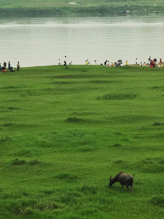 鼎湖硯洲島｜週末環島遊玩露營
