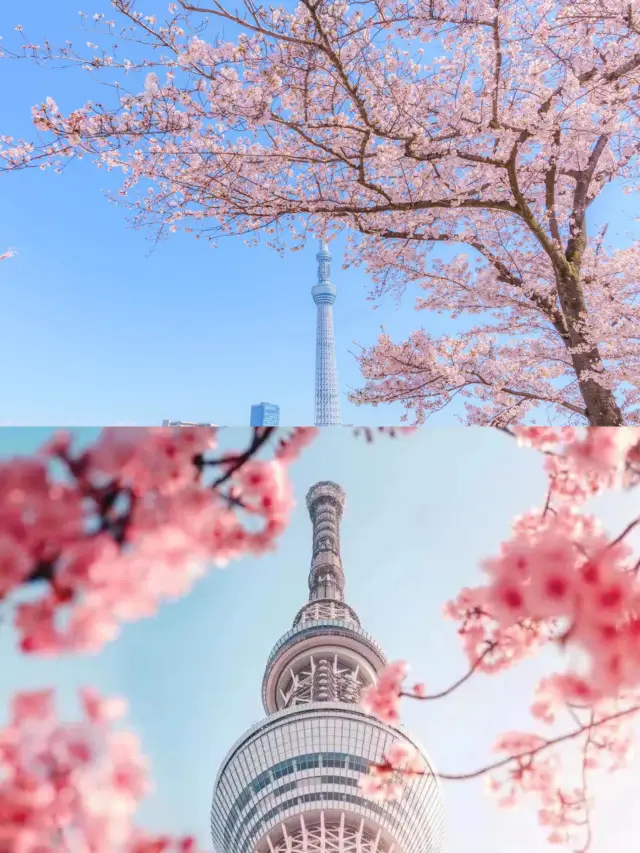 Tokyo, Japan | 8 Must-Visit Places