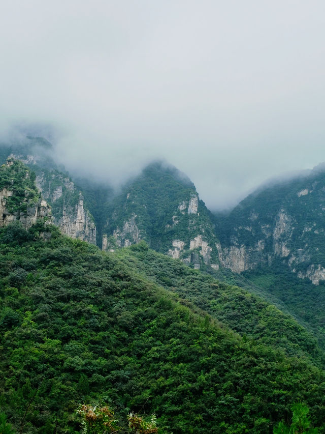 鄭州雨天也太美了吧！與世隔絕人間仙境