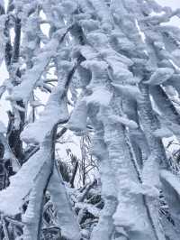 大容山雪冰景