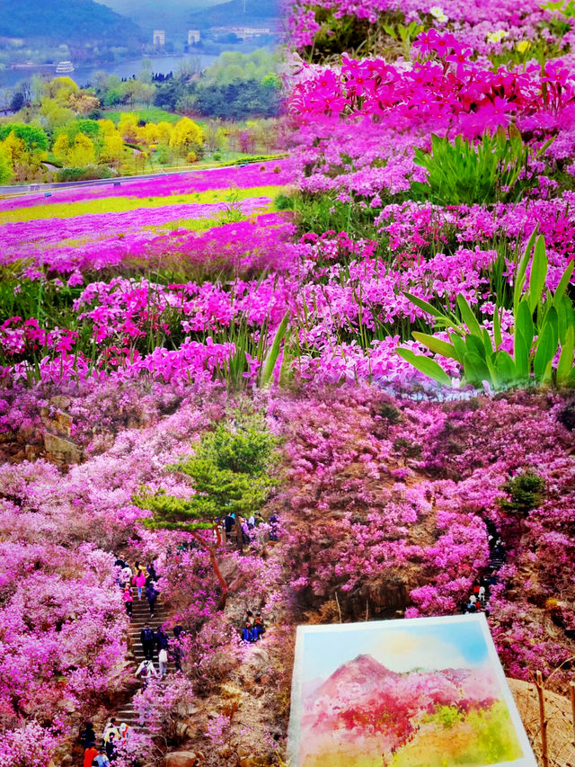 遼寧•大連｜春日賞花地圖攻略