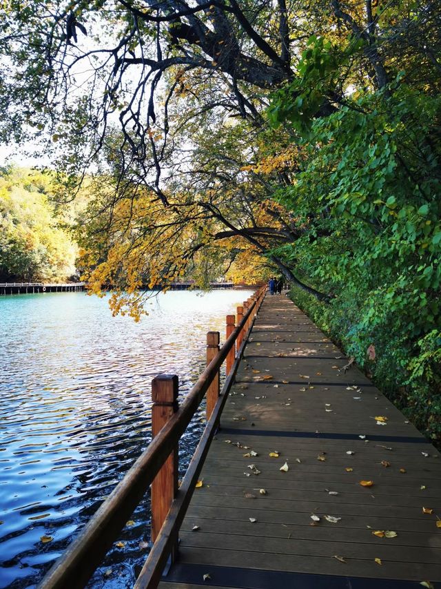 吉林龍灣群國家森林公園～大龍灣