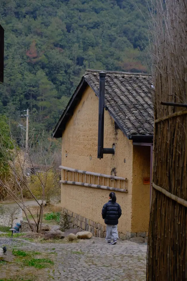 절강 여행｜동물의 문예적인 시골 민박