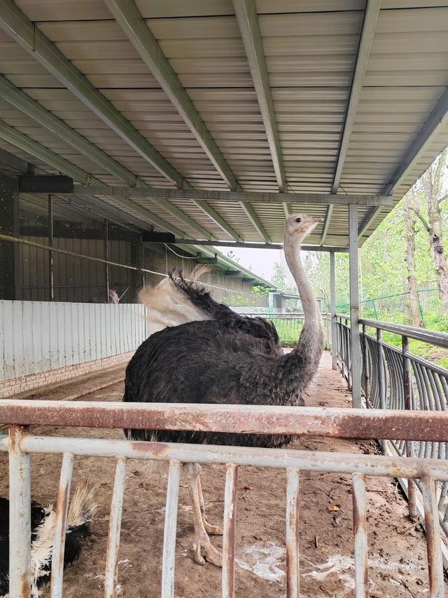 人與自然，和諧共生——大美洋沙湖濕地公園