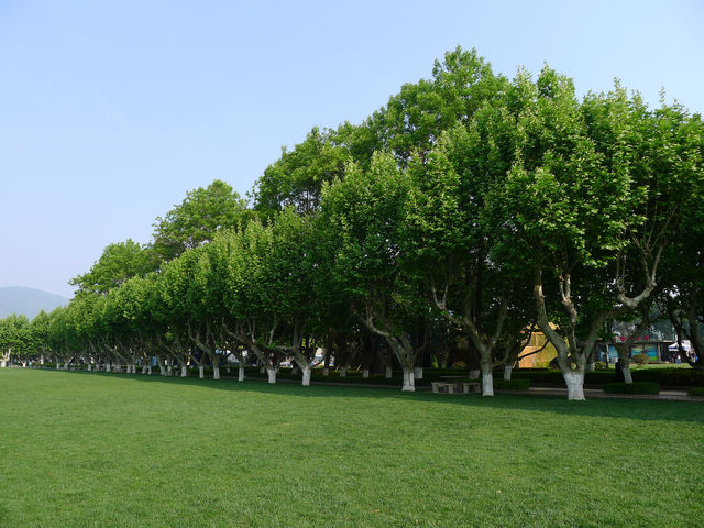 滇池畔的綠色——昆明海埂公園