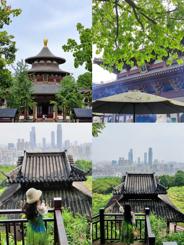 There's no need to travel far in spring, the most beautiful flower viewing spot in Nanning is at Qingxiu Mountain!