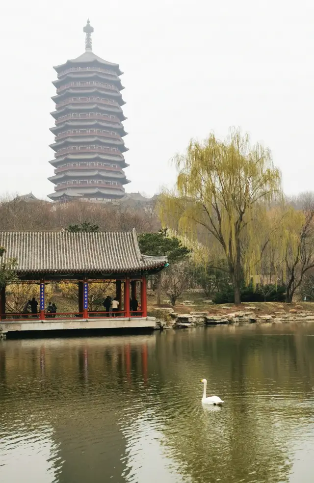 北京中國園林博物館，園林精萃，匯聚南北，一站收穫