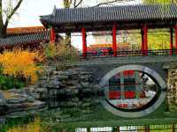 🌺 Zhongshan Park's Floral Splendor  