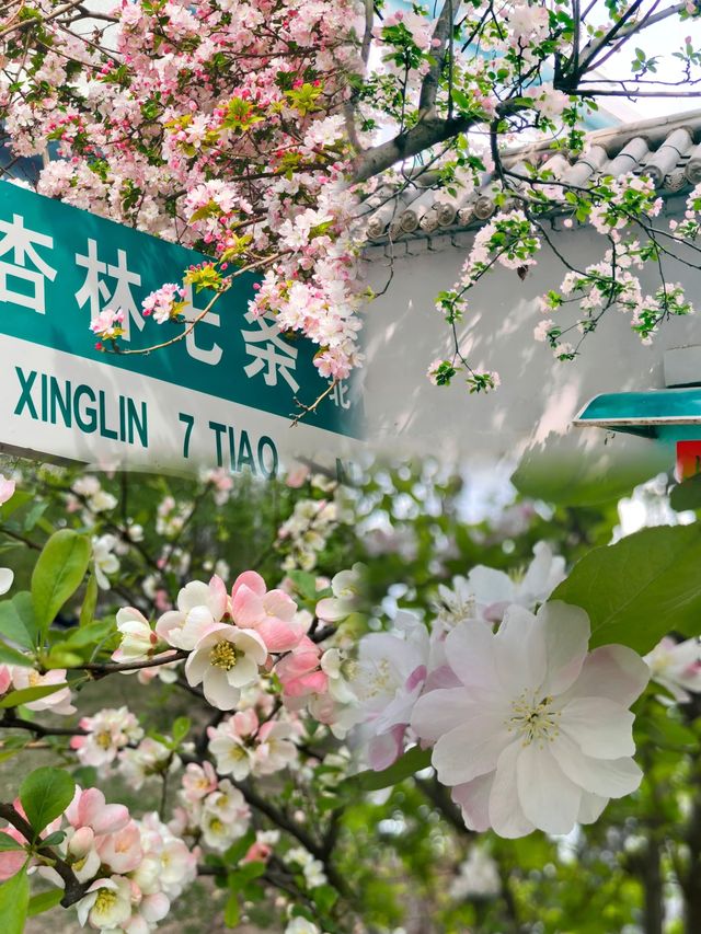 攻略已備好邀您走進太原的“花花世界” 攻略已備好邀您走進太原的“花花世界”