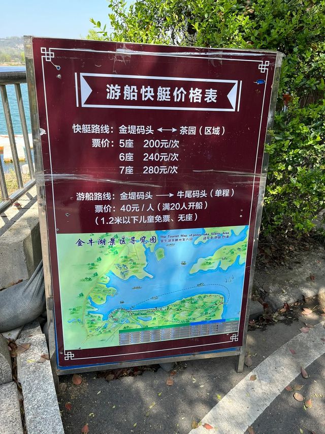 不誇張在這裡露營人均70平草坪可勁躺