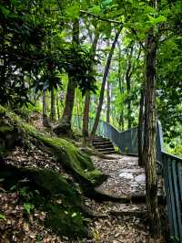 必須告訴你寶藏徒步路線龍脊山，尽享林木之美、山巒之秀！