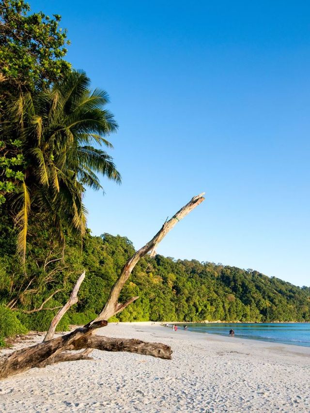 🌴🏖️ Andaman's Exotic Stay: Taj Exotica Resort & Spa 🌟