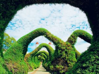 Costa-Rica Surreal Shapes