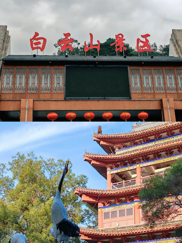 梧州兩日攻略丨國家地理確實誠不欺我