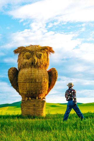 Step into summer and come dance with me on the Ulagai Prairie!