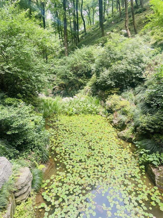 銅陵之行