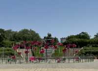 濟南森林公園