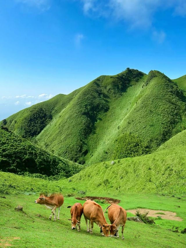 這裡既不是新疆，也不是武功山