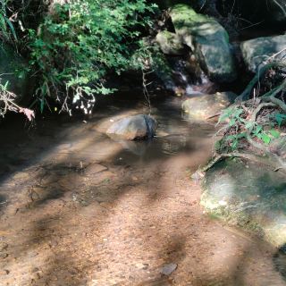 During the Dragon Boat Festival, I took a less-traveled hiking trip to the Wulei Mountain and Cangyun Creek in Cixi