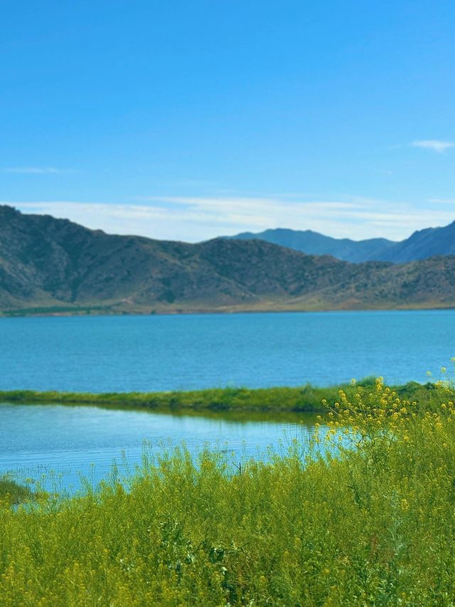 我的阿勒泰之可可托海 我的阿勒泰之可可托海