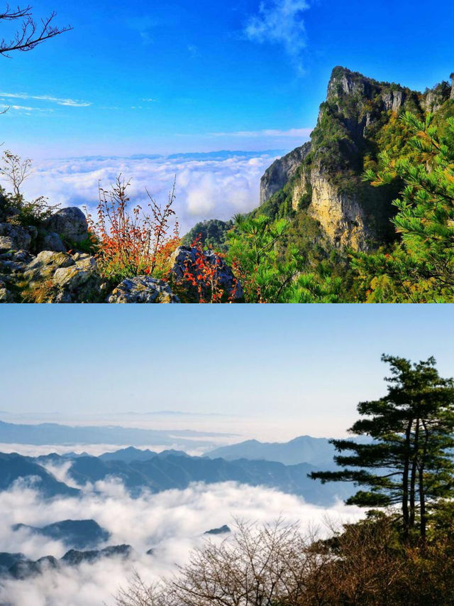 秦嶺天竺山旅遊攻略