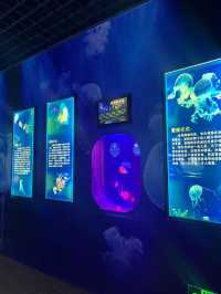 真的在東莞沒想到我也能擁有海洋館