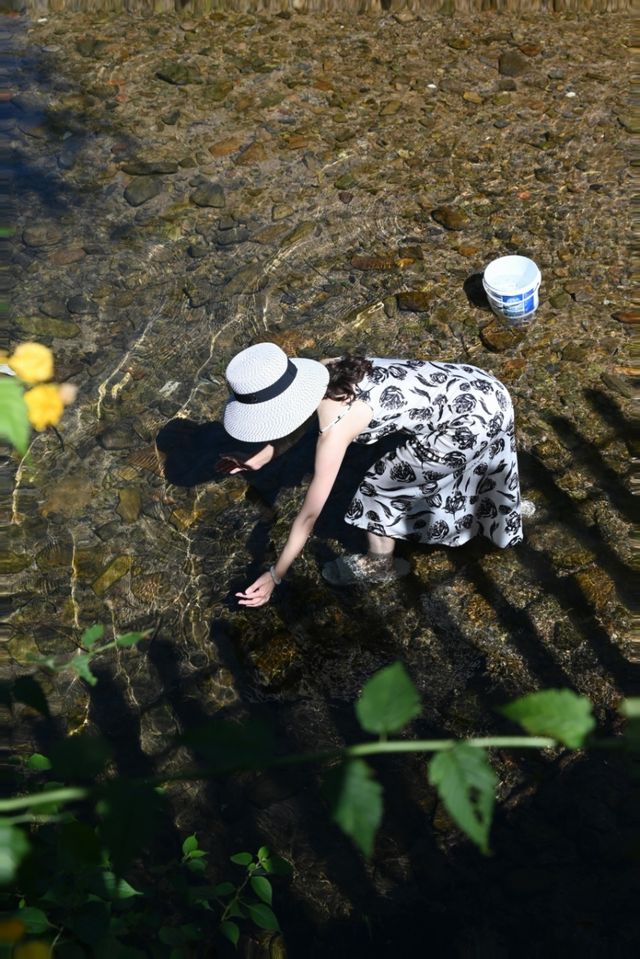 安吉必住民宿｜遇見竹海中的童話世界