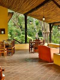 🌟🏞️ Arusha's Hidden Gem: Rivertrees Country Inn 🛏️✨