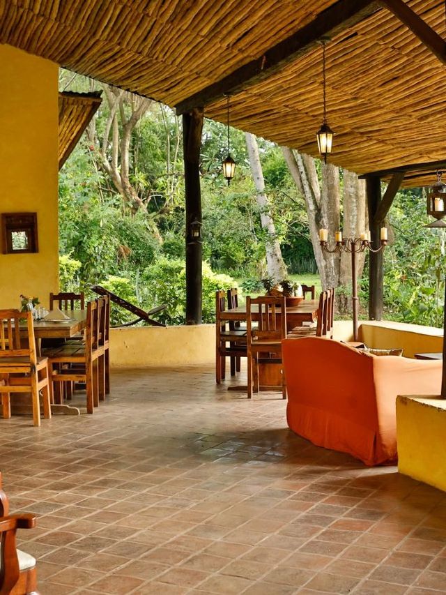 🌟🏞️ Arusha's Hidden Gem: Rivertrees Country Inn 🛏️✨