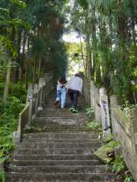夏日避暑納涼好去處 | 來這個小眾森林秘境親子徒步玩水吧