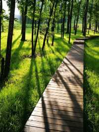 🏔️ Changbaishan's Cozy Ski & Spa Retreat 🎿🛀