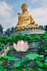 走進華巖寺，尋得心靈的寧靜