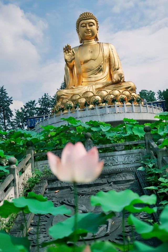 走進華巖寺，尋得心靈的寧靜