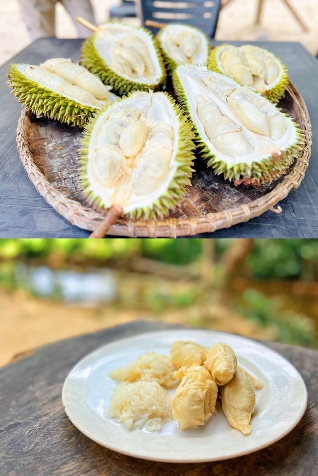 馬來西亞的榴蓮