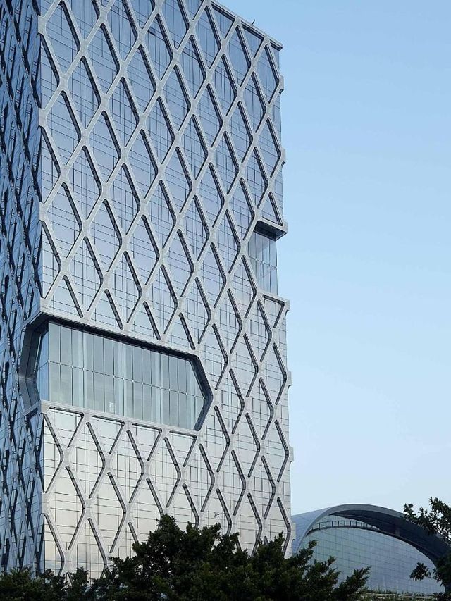 🌟 Shenzhen Bay's Kapok Hotel: Artistic Elegance & Comfort 🌟
