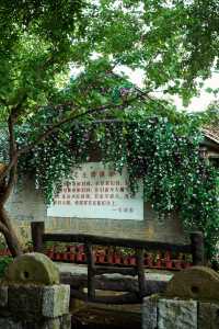 周末去哪玩|臨沂打卡地蘭陵壓油溝
