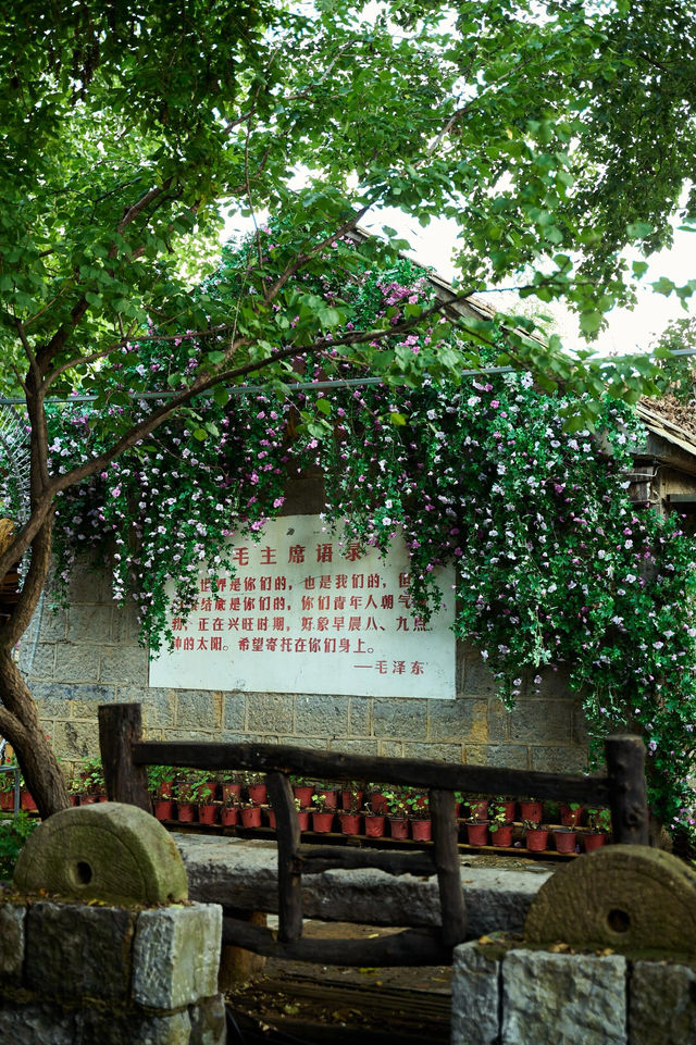 周末去哪玩|臨沂打卡地蘭陵壓油溝