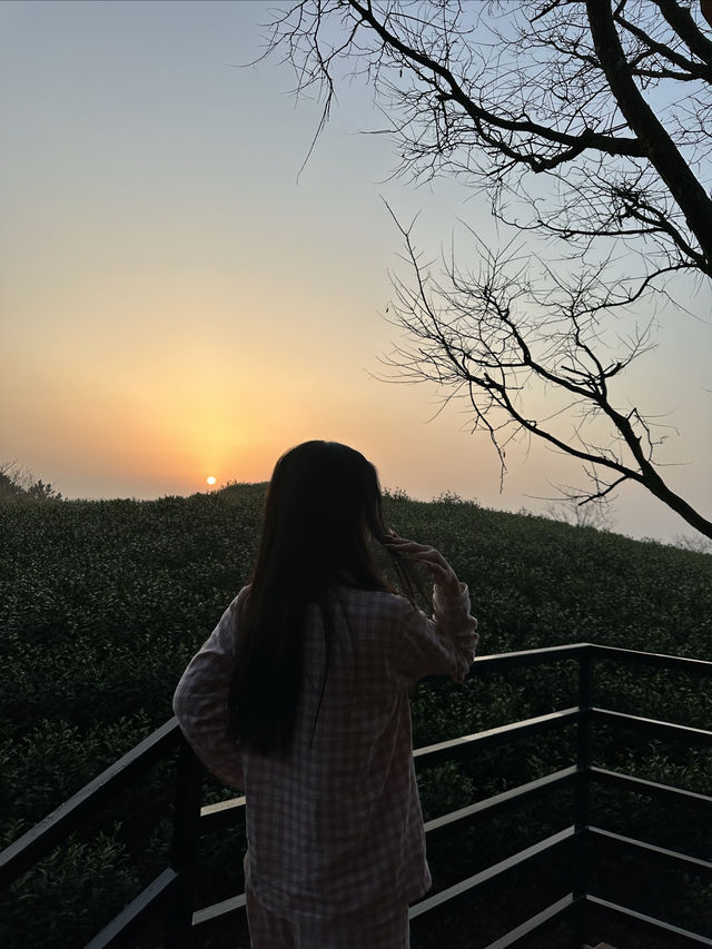 安吉野奢露營基地｜星空谷營地