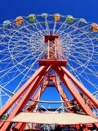 🌟 Qingdao's Top Family-Friendly Attractions Unveiled 🎡🐬🌳