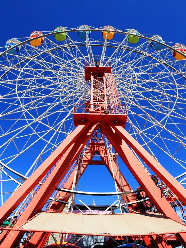 🌟 Qingdao's Top Family-Friendly Attractions Unveiled 🎡🐬🌳