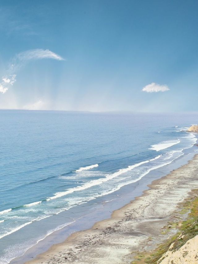 🌊 San Diego Splendors: Sun, Surf, and Seals Galore! 🌴