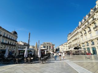 Main buildings in Montpellier