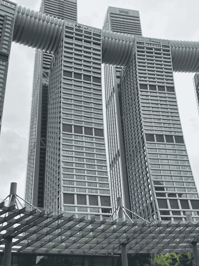 假期重庆旅游攻略（避开人流版）