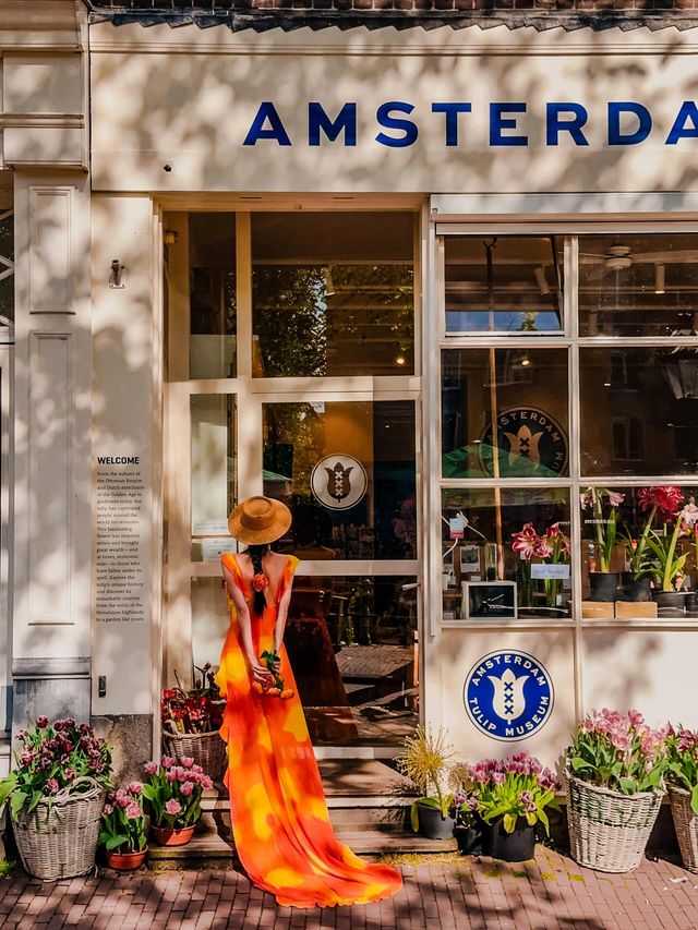 🇳🇱Netherlands Amsterdam Windmill Village + Leisurely City Guide 🏙️