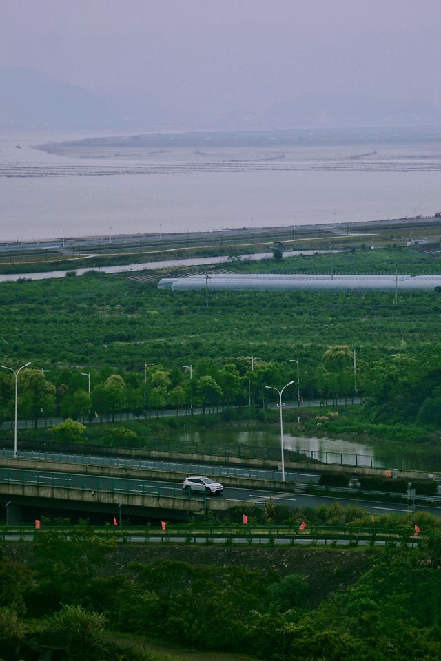 戶外拍照蛇蟠島區離城市的喧囂