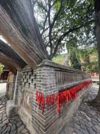天水麻辣燙之行∣南郭寺，沒有南郭先生，卻有杜少陵