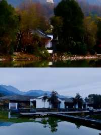 九華山涵月樓|隱匿朝聖之地的園林秘酒店。